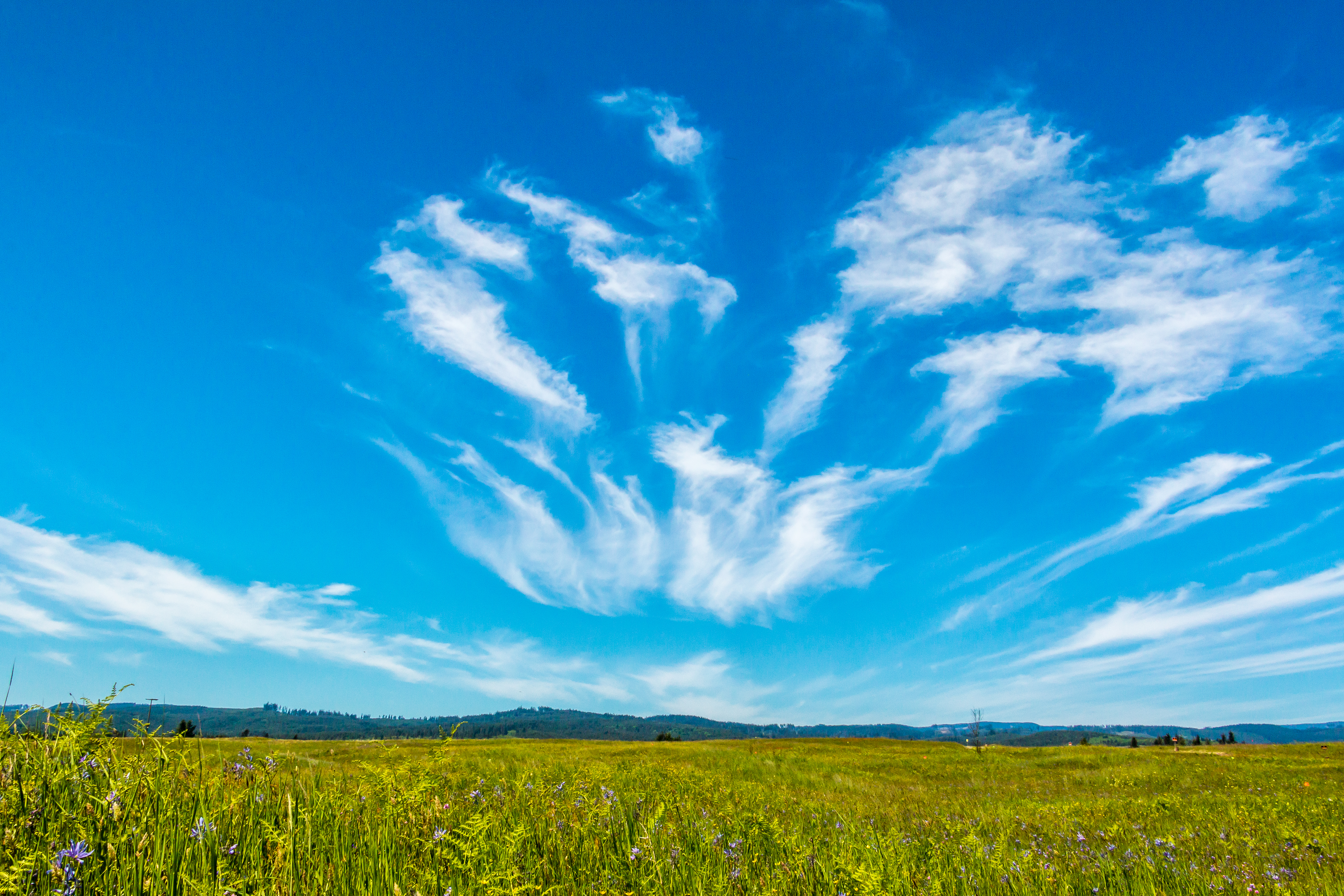 Sky and field